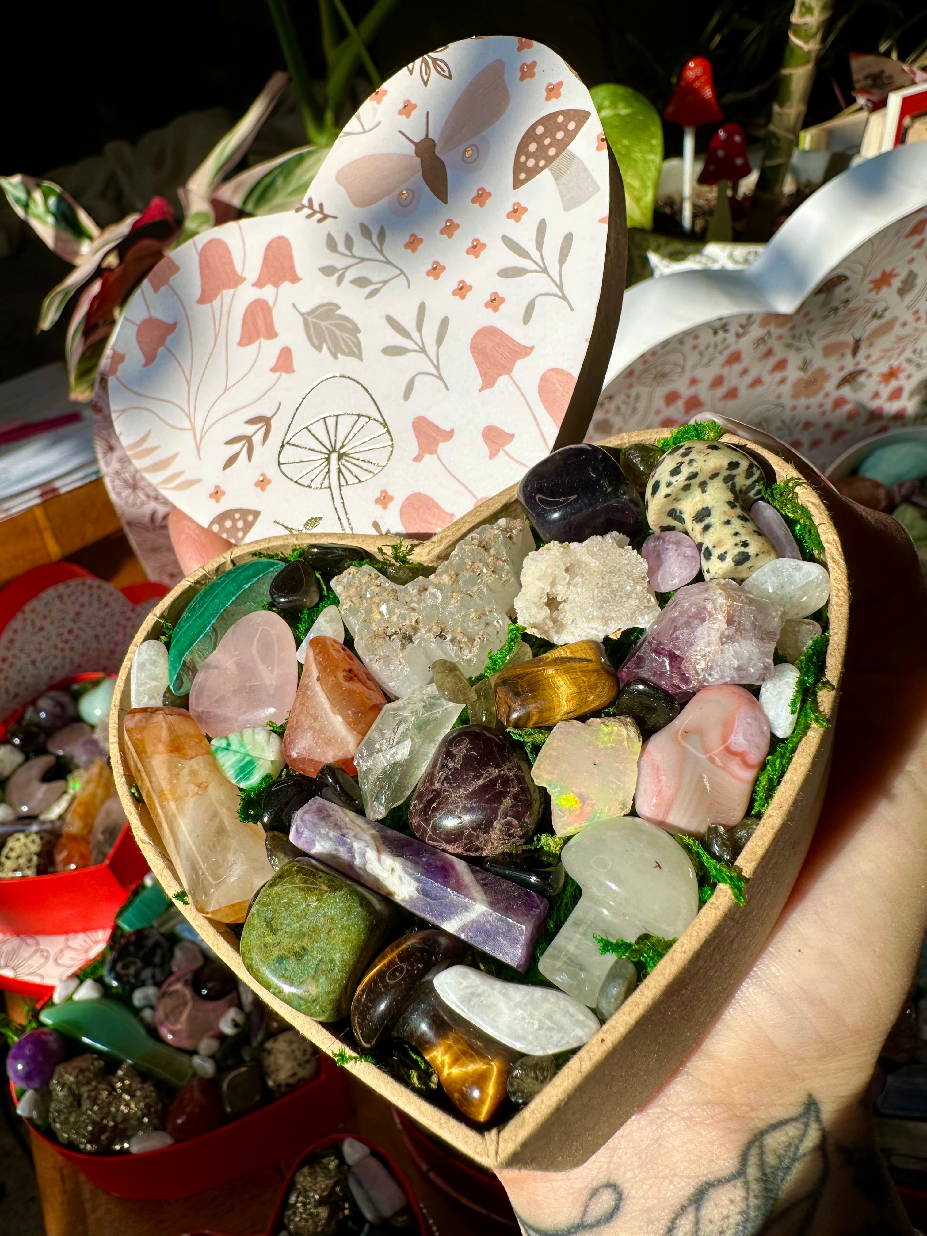 NEW small 🍄🦋 crystal valentine