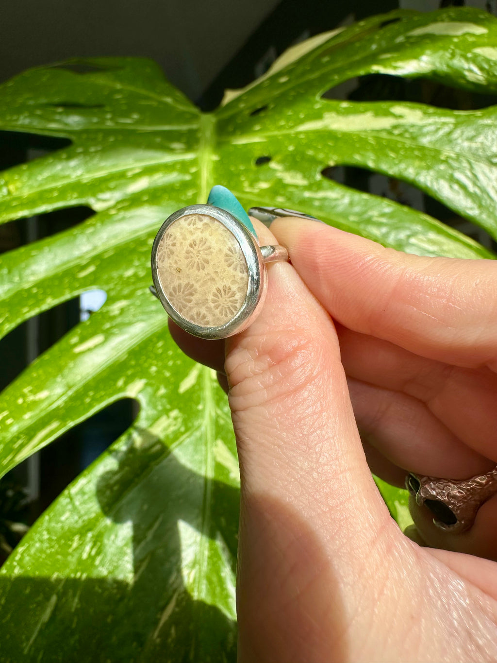 fossilized coral sterling silver ring size 8