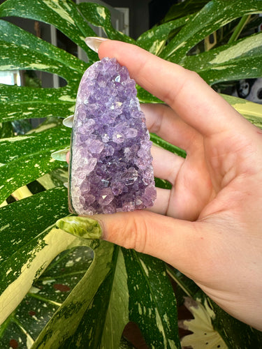 raw amethyst druzy- self standing 2