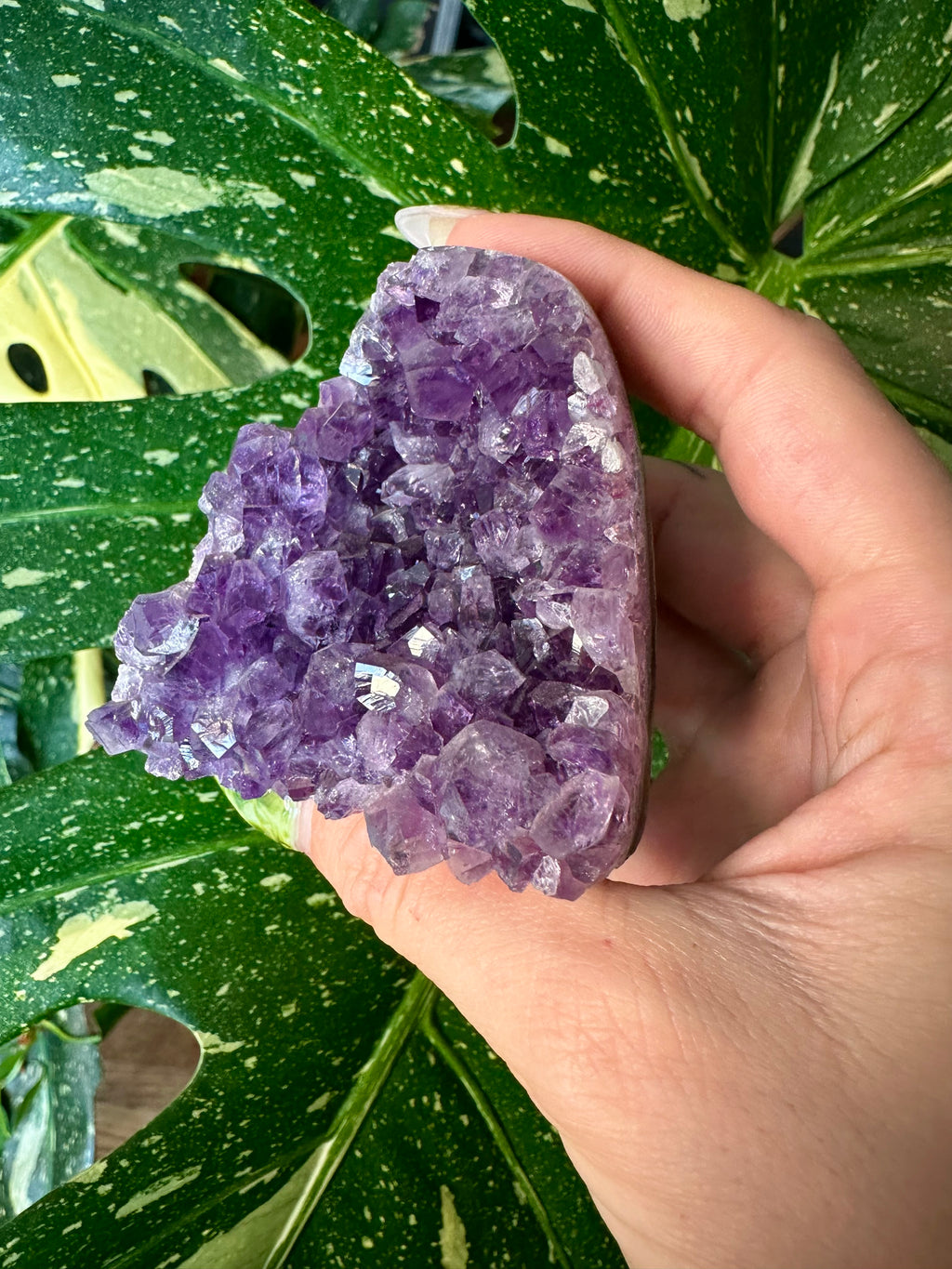 raw amethyst druzy- self standing 3