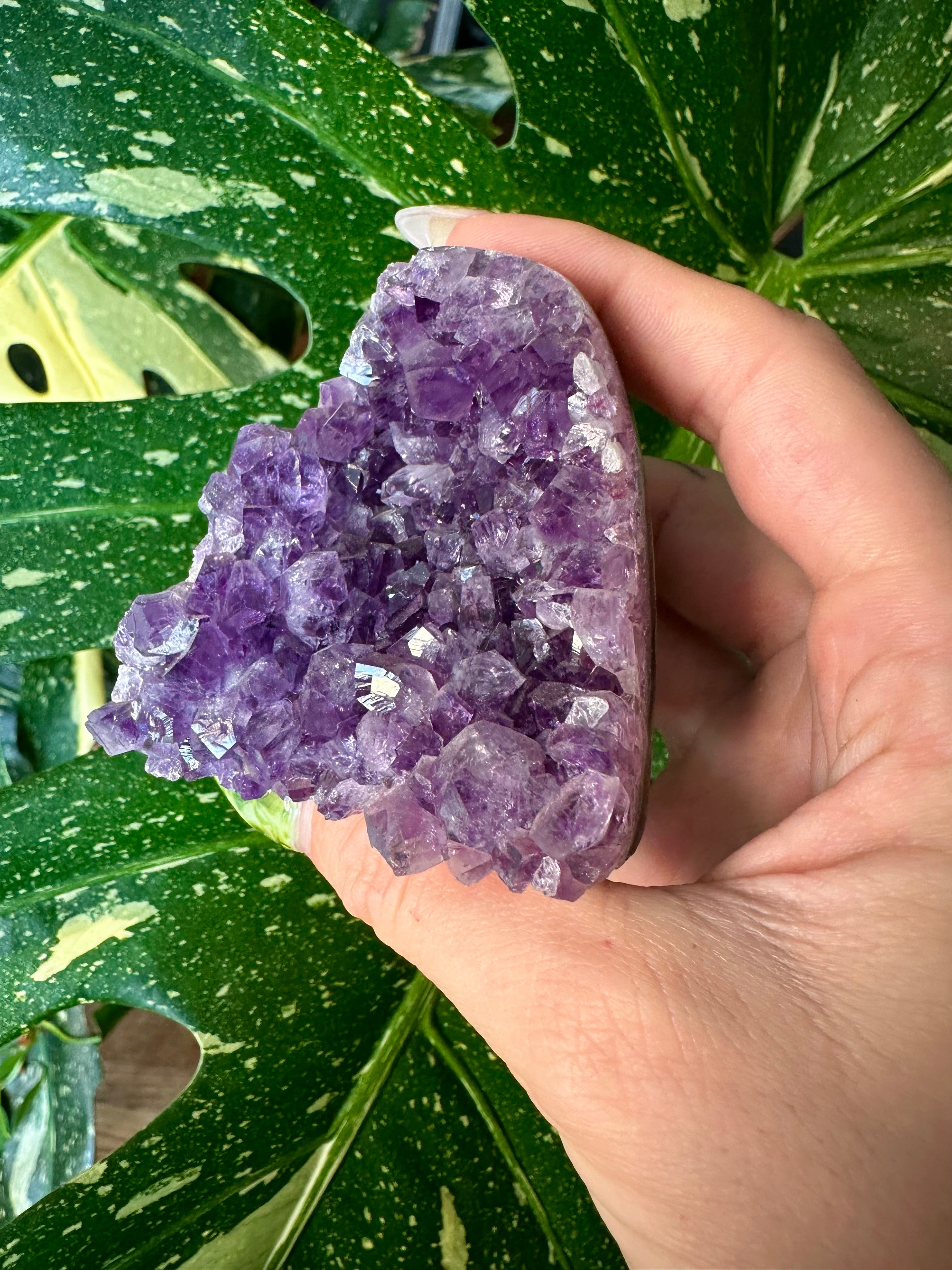 raw amethyst druzy- self standing 3