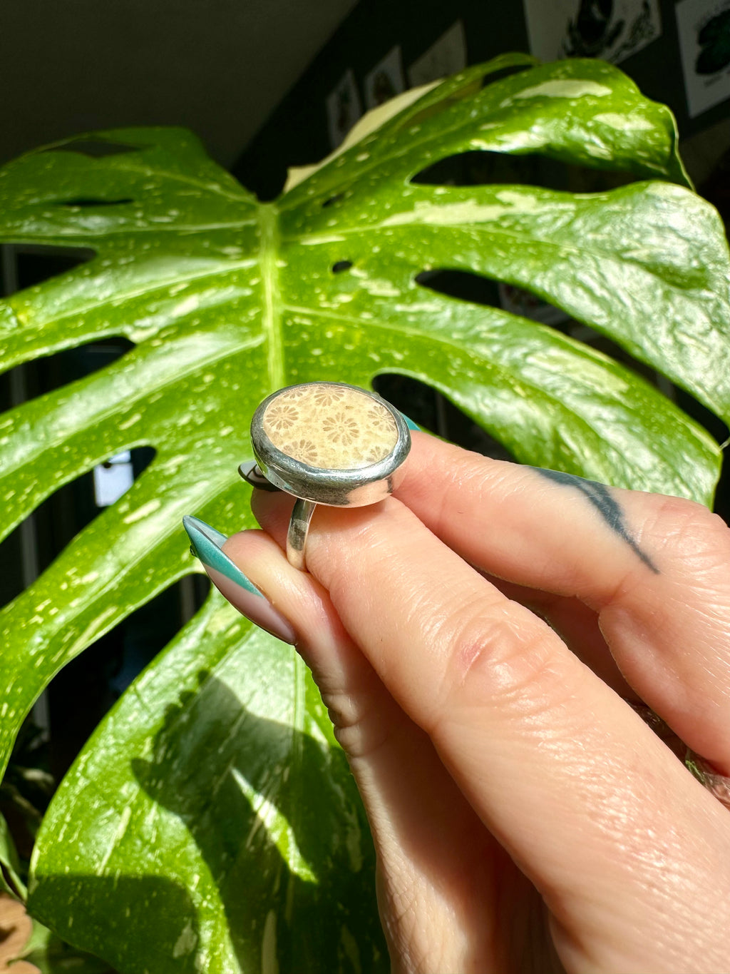 fossilized coral sterling silver ring size 8