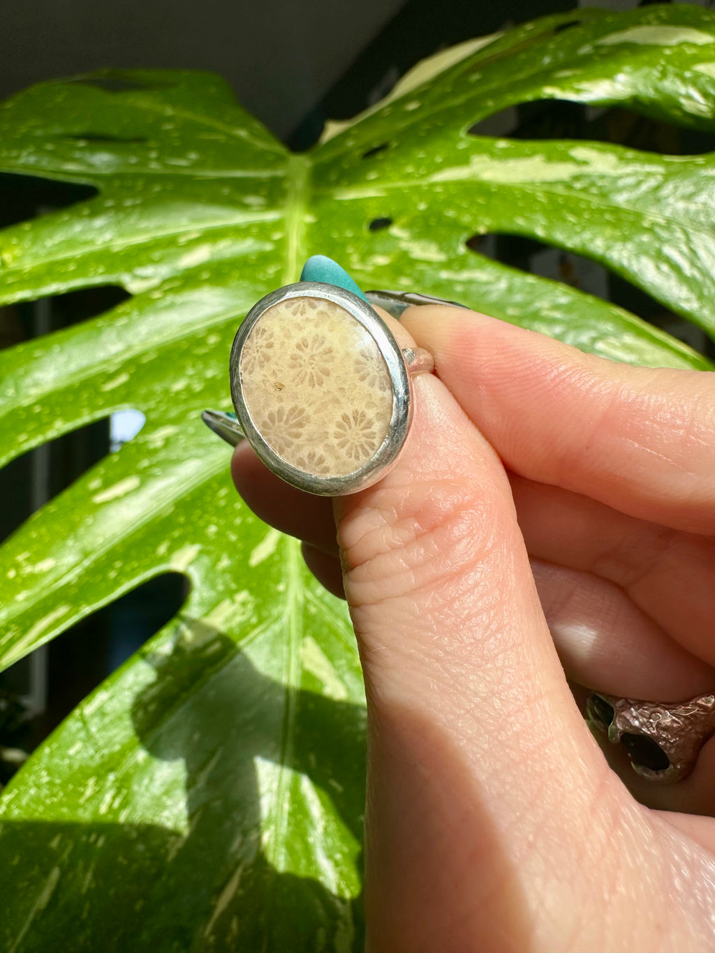 fossilized coral sterling silver ring size 8