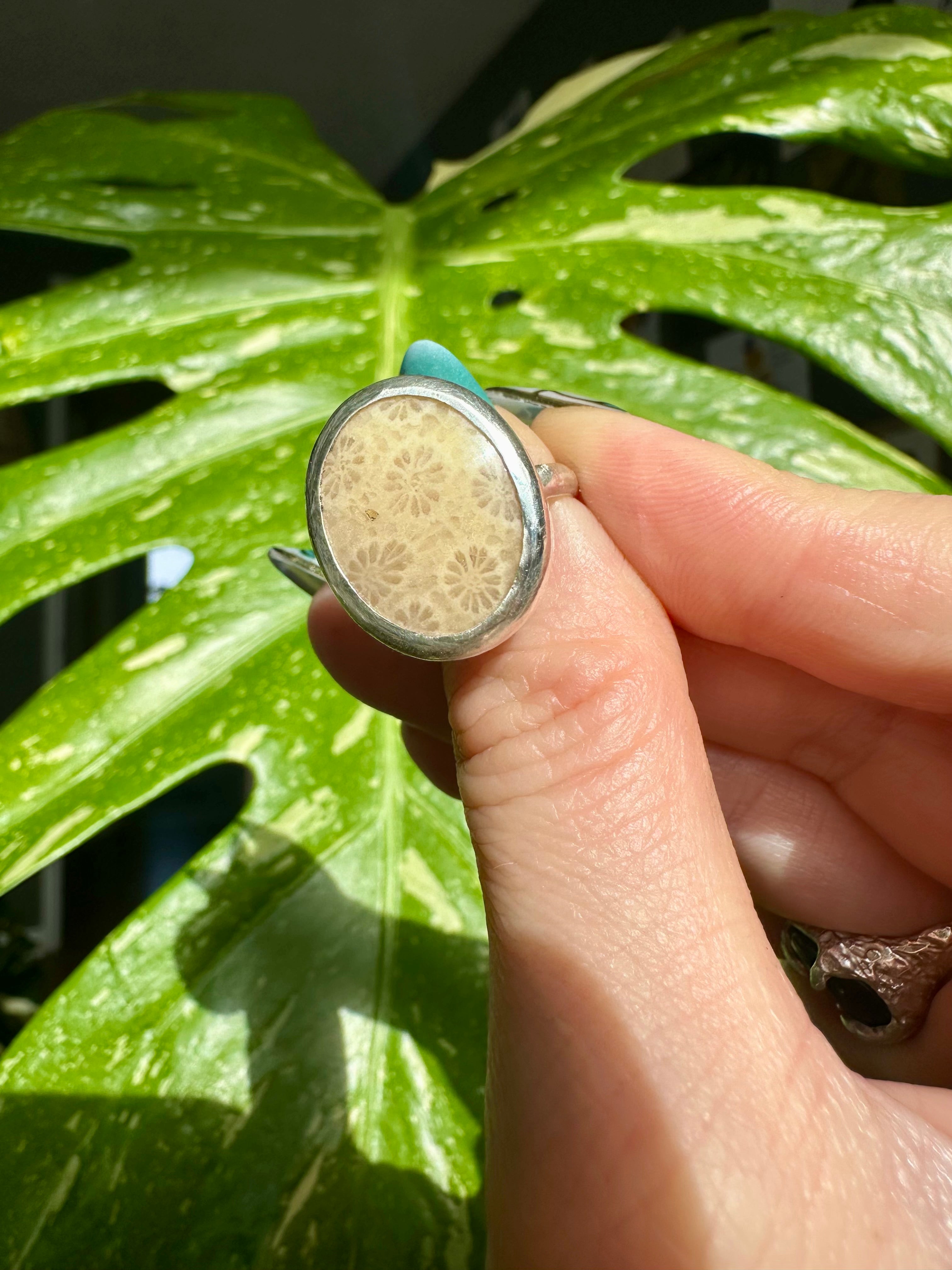 fossilized coral sterling silver ring size 8