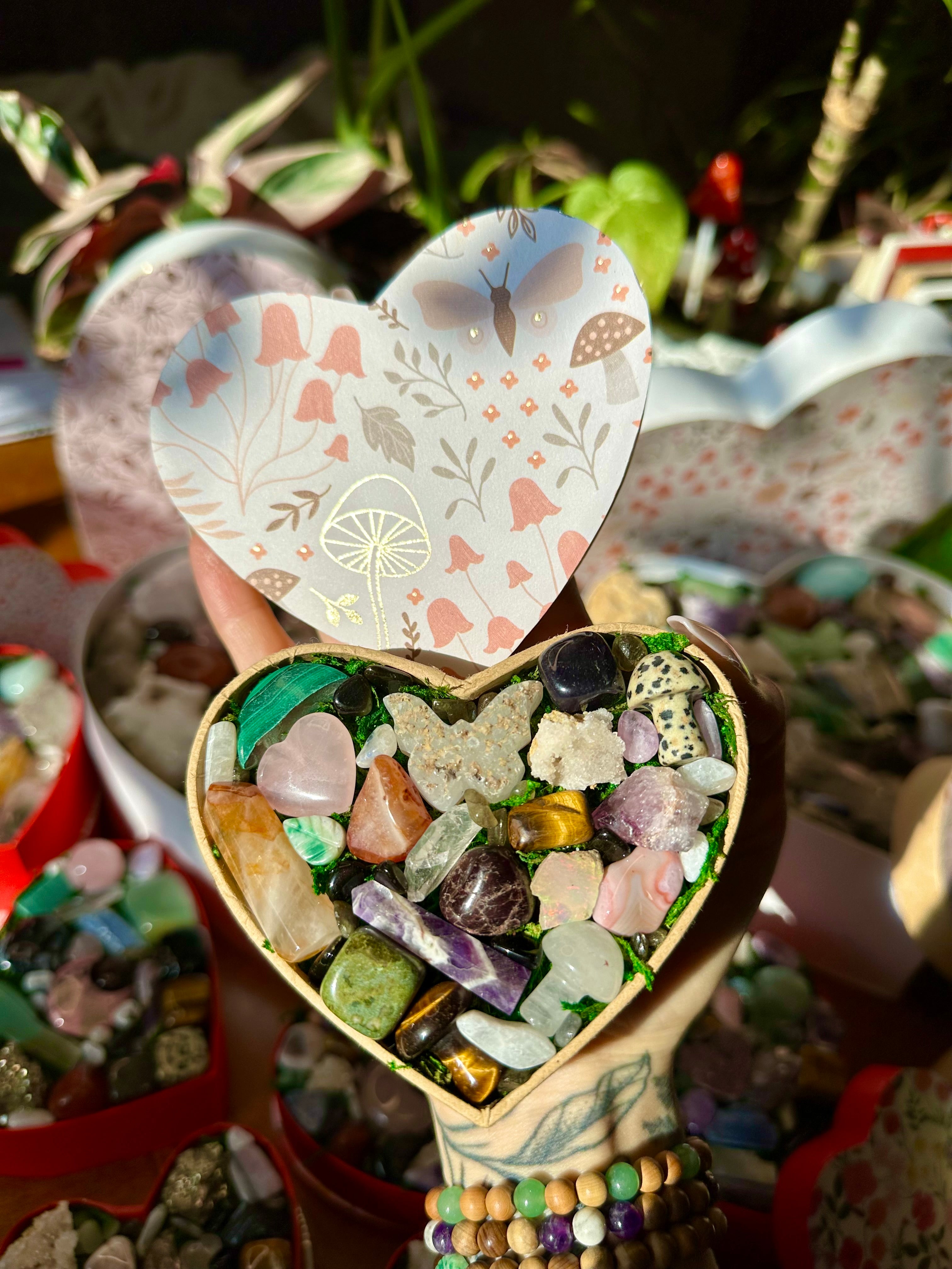 NEW small 🍄🦋 crystal valentine