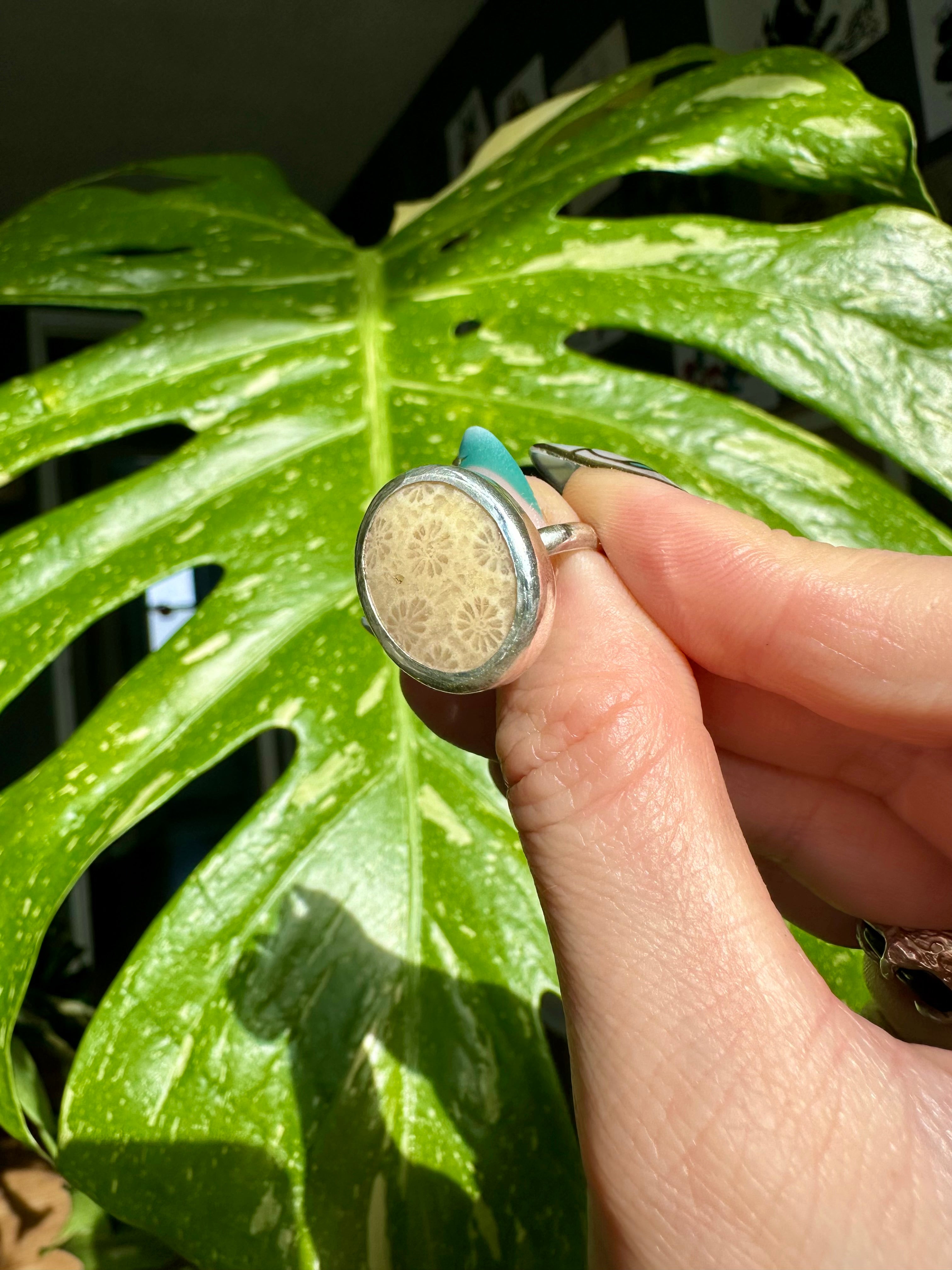fossilized coral sterling silver ring size 8