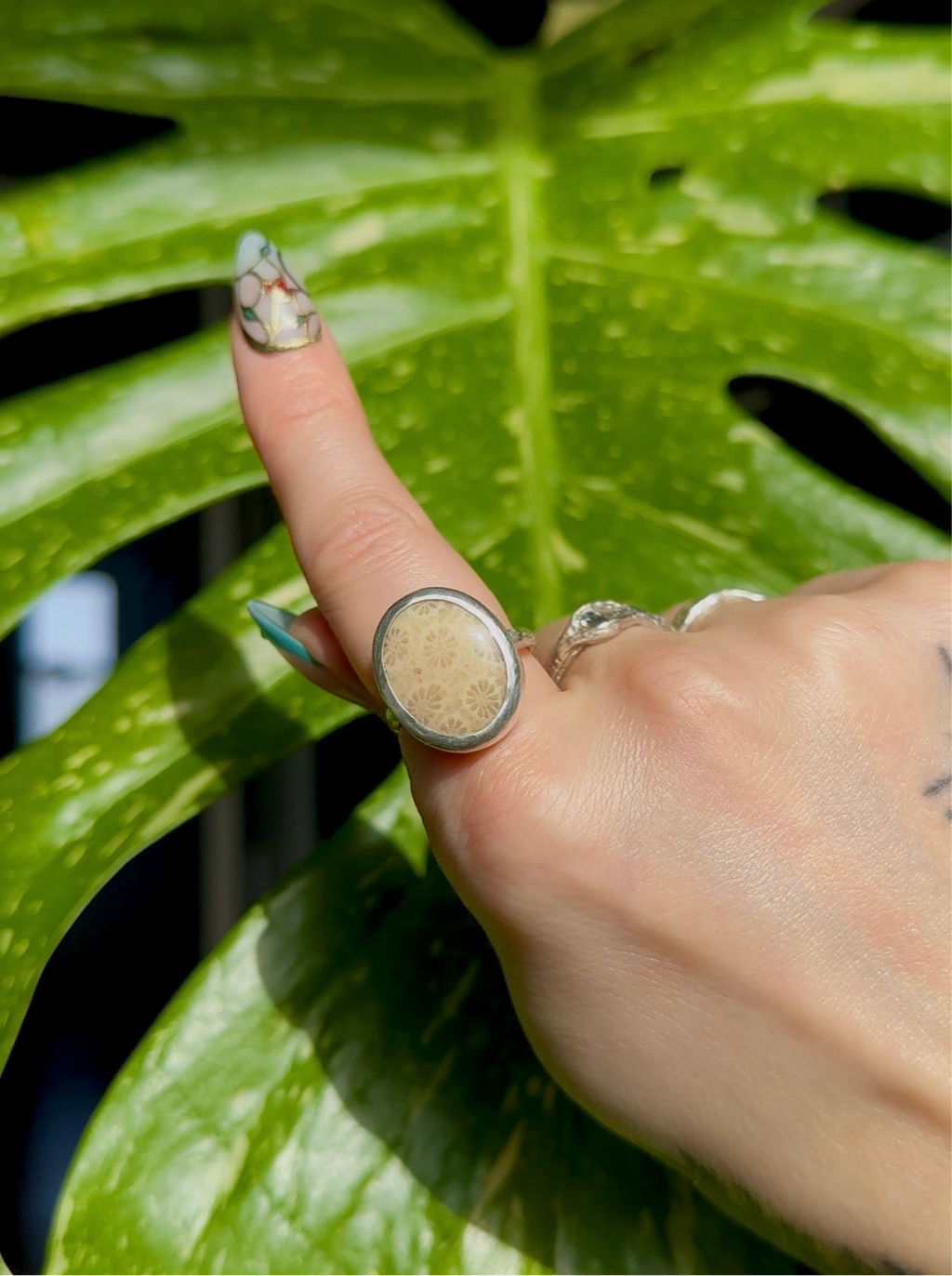 fossilized coral sterling silver ring size 8