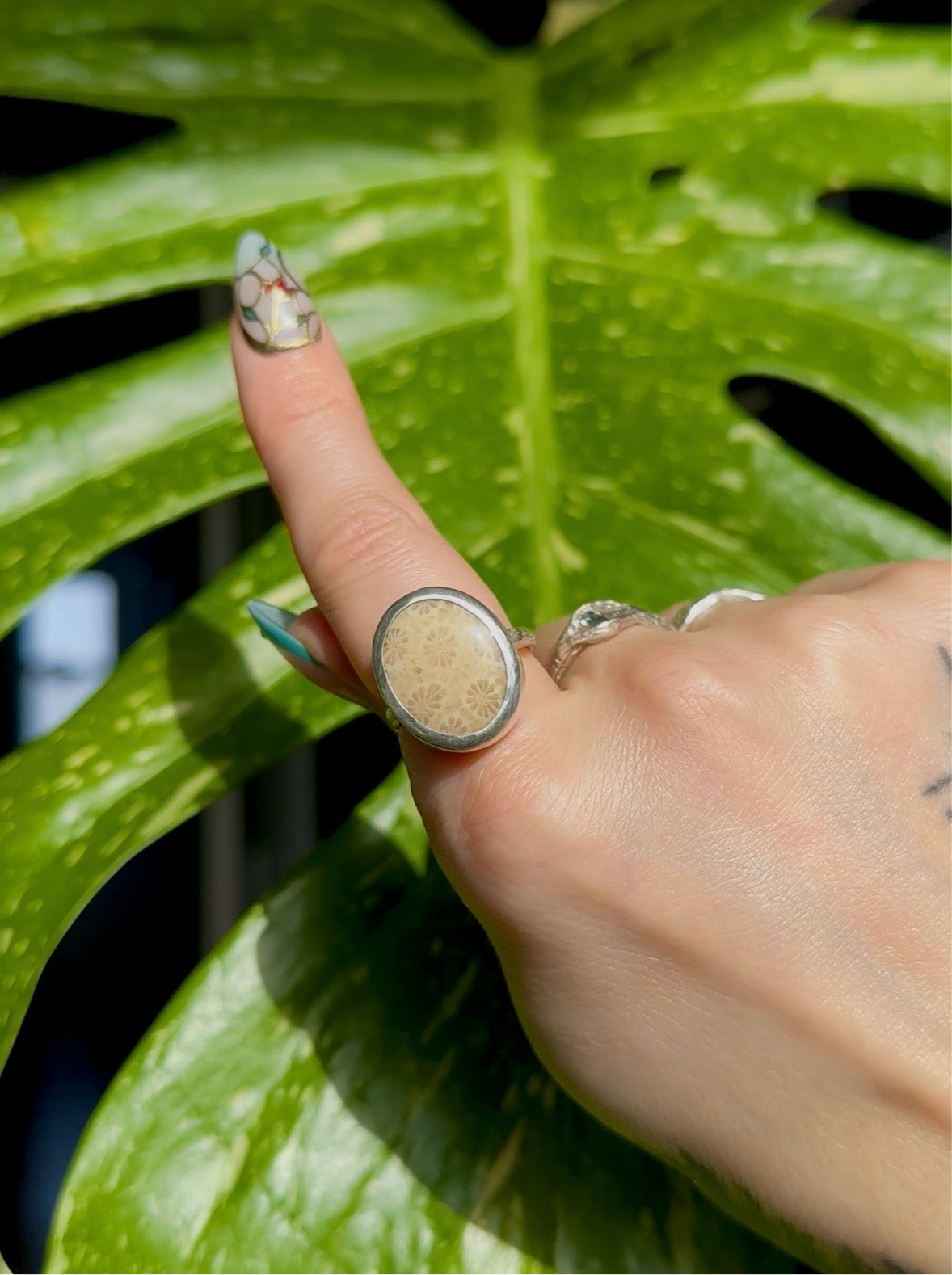 fossilized coral sterling silver ring size 8