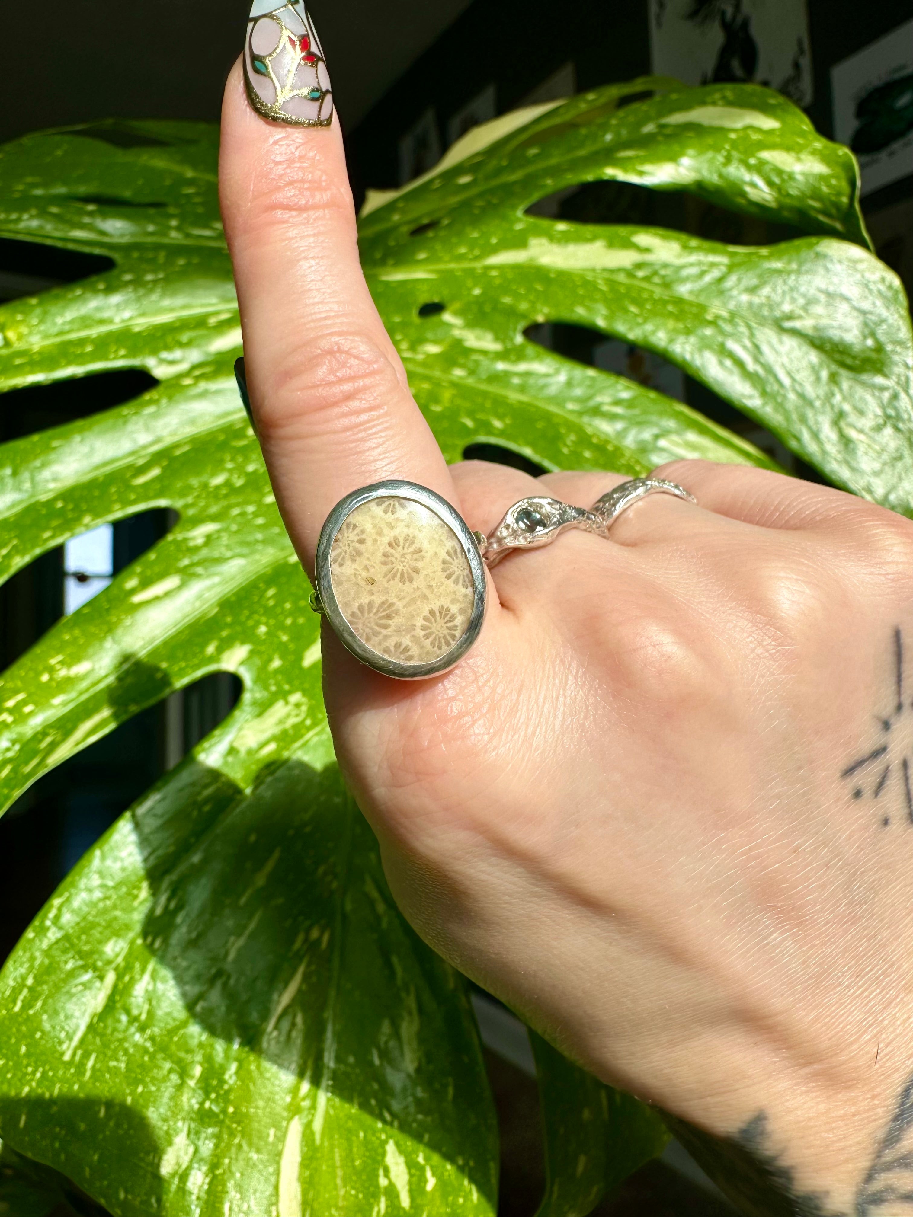 fossilized coral sterling silver ring size 8