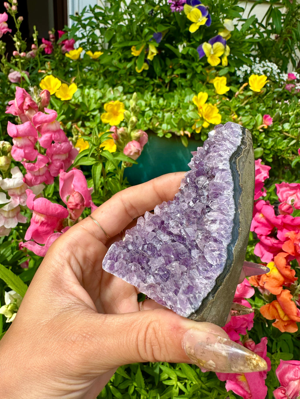 raw amethyst 🔮 standing formation