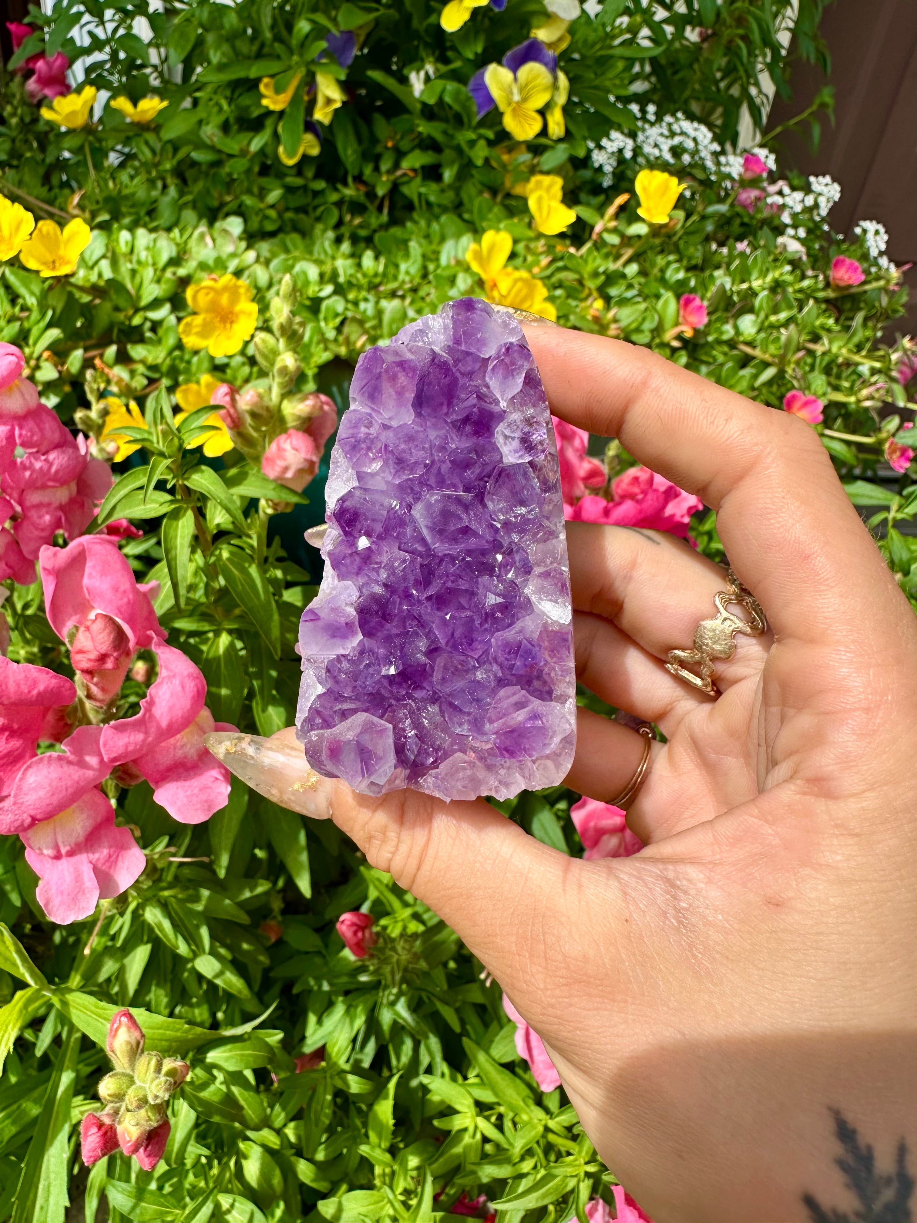 raw amethyst 🪻standing formation