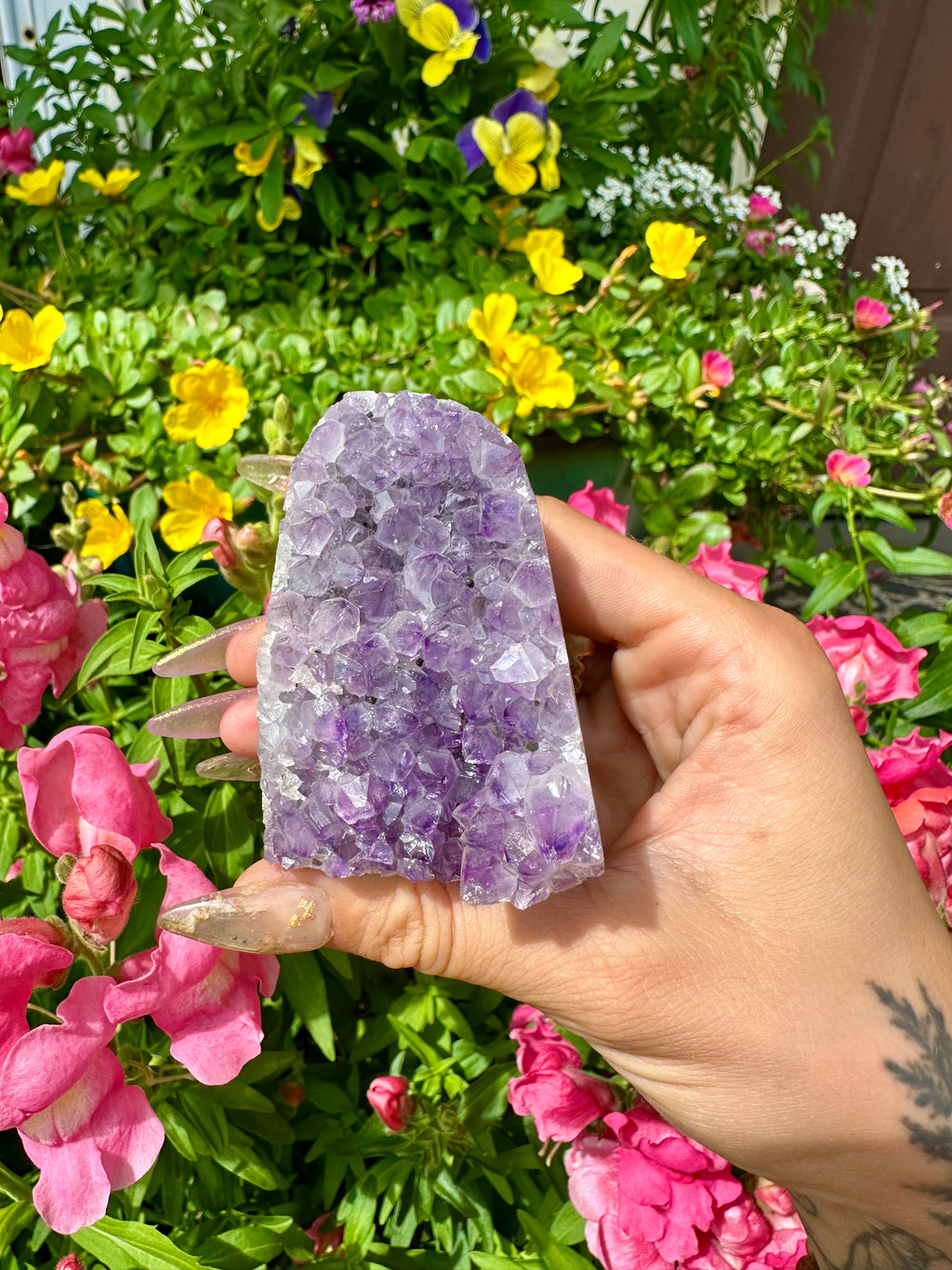 raw amethyst 💟 standing formation