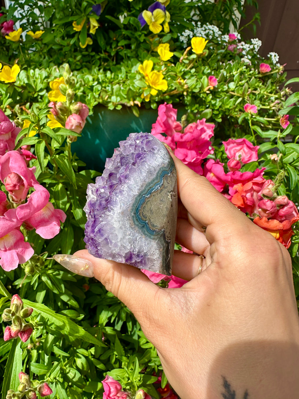 raw amethyst 💟 standing formation