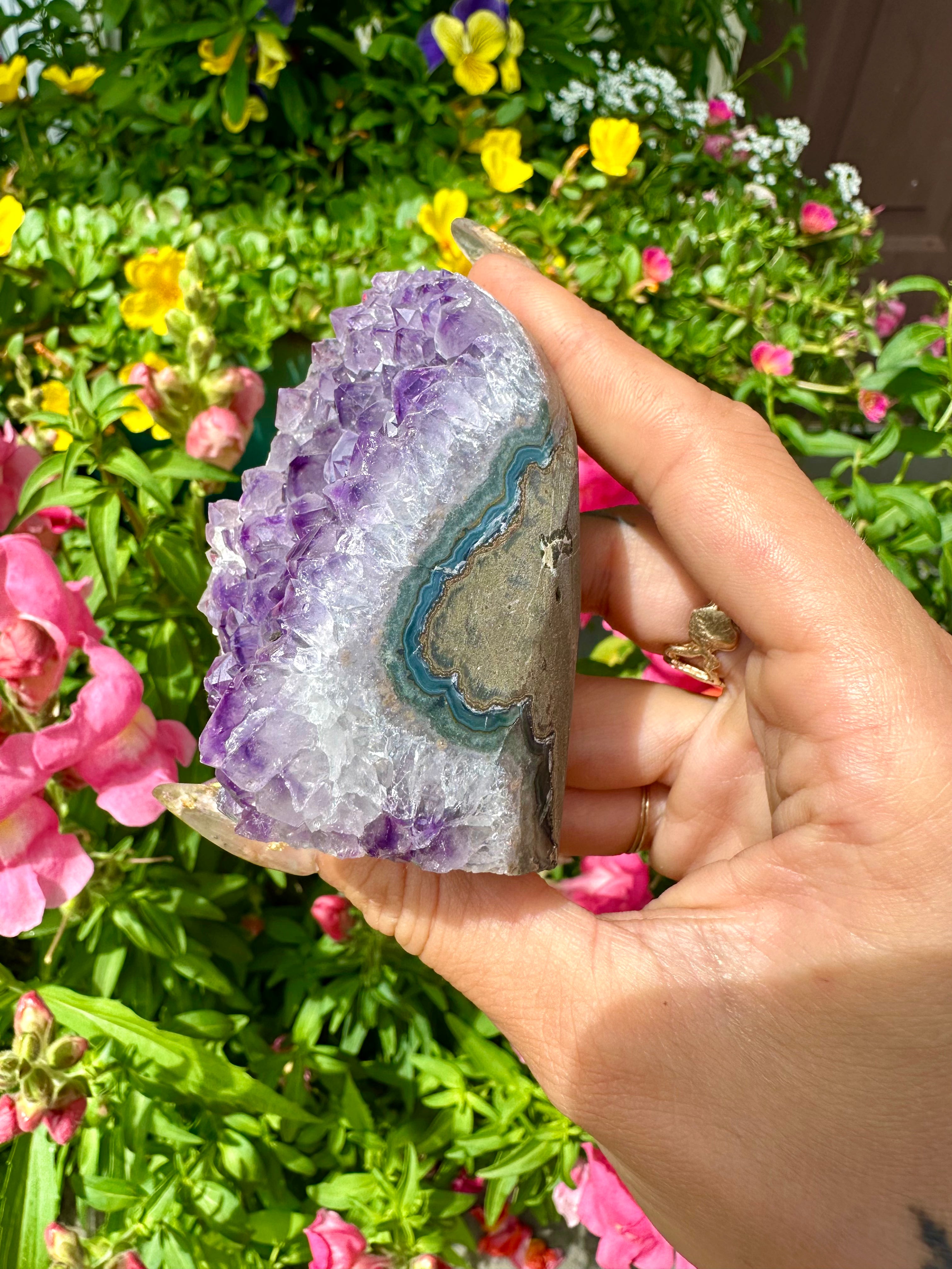 raw amethyst 💟 standing formation