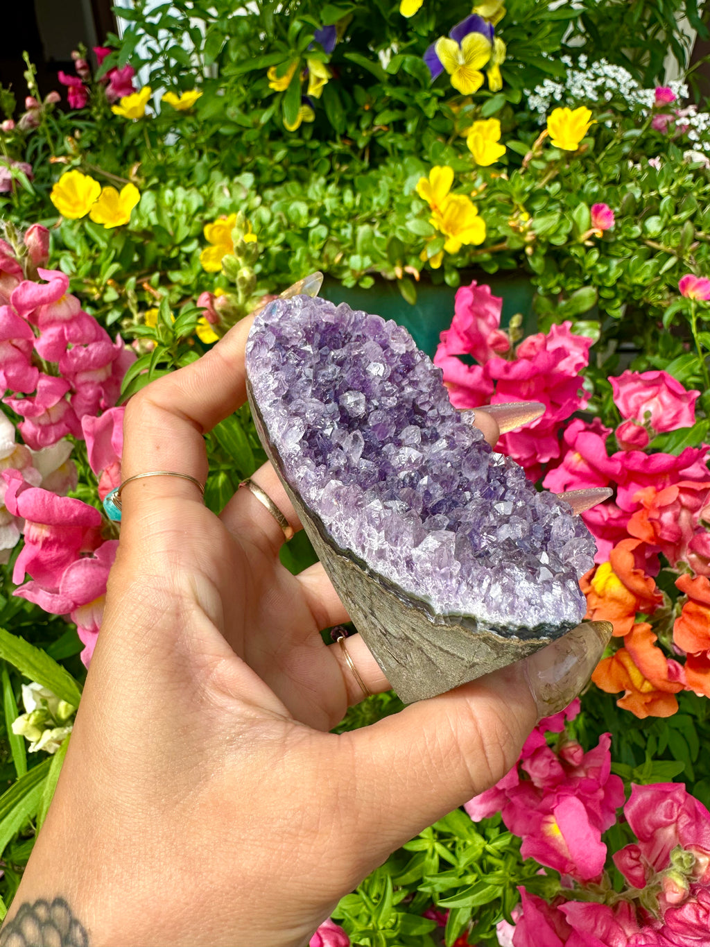 raw amethyst 🔮 standing formation