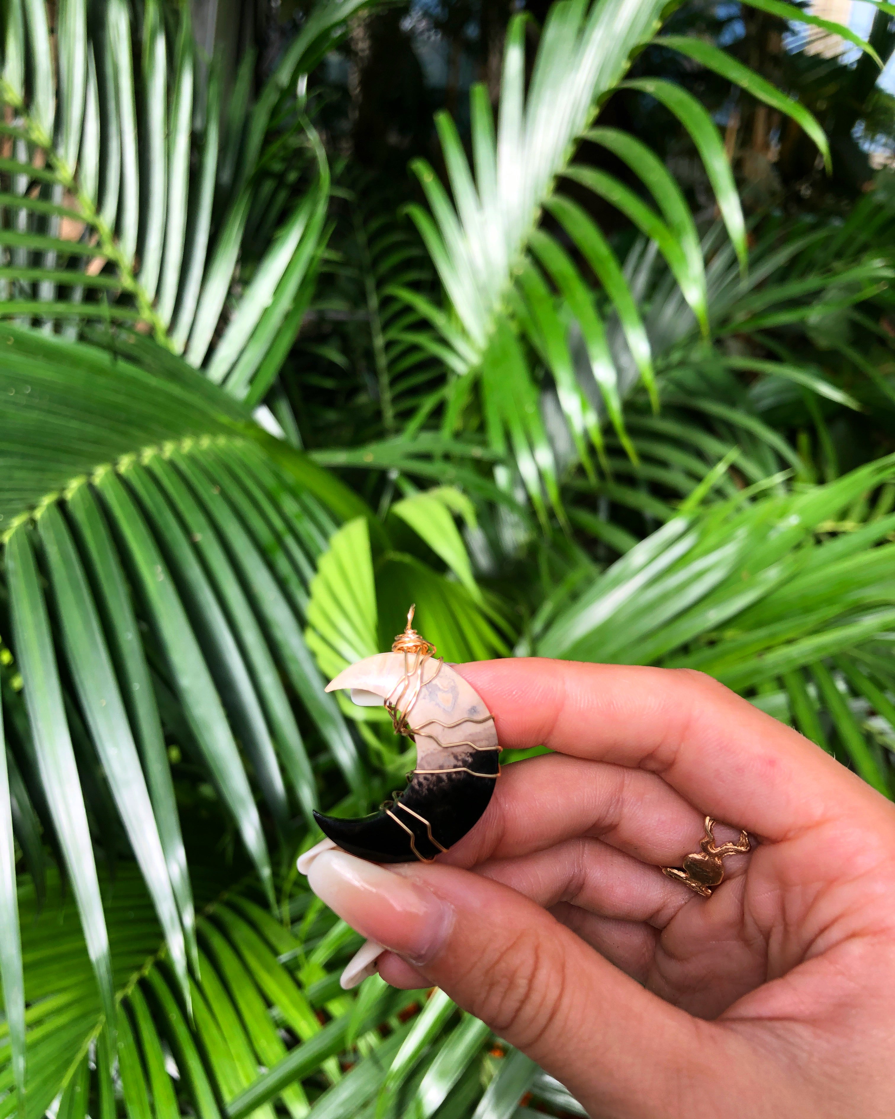 fossilized palm root necklace