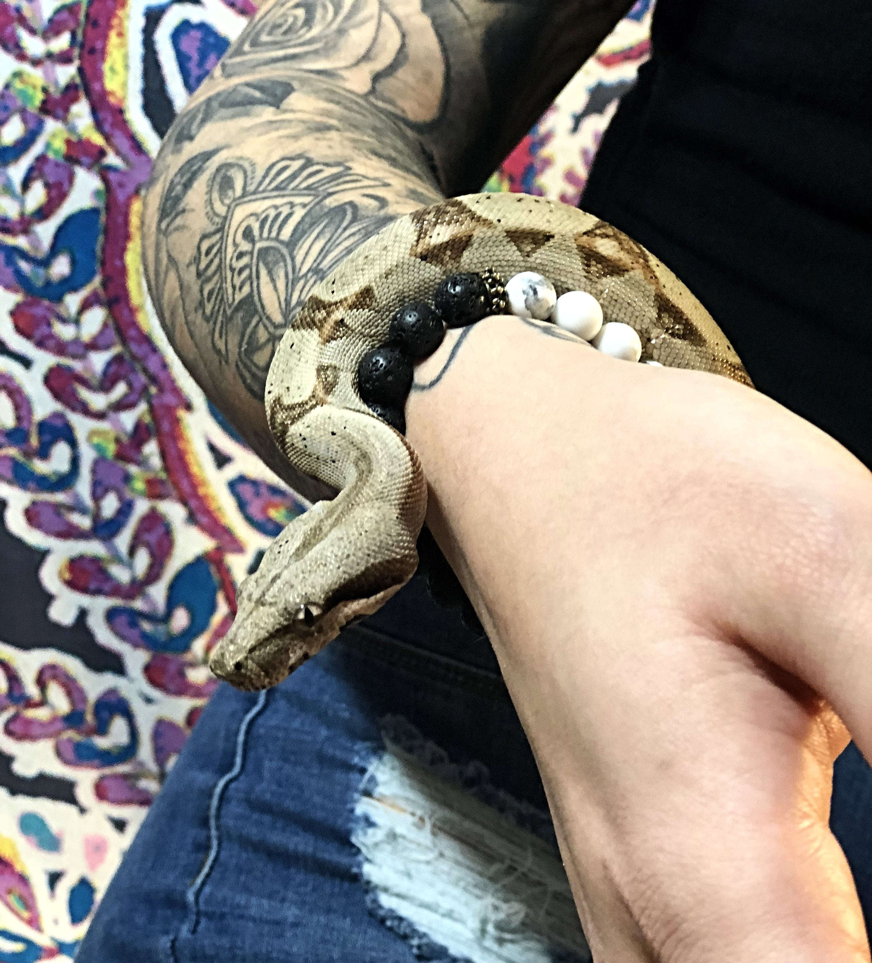 balance howlite & lava bracelet