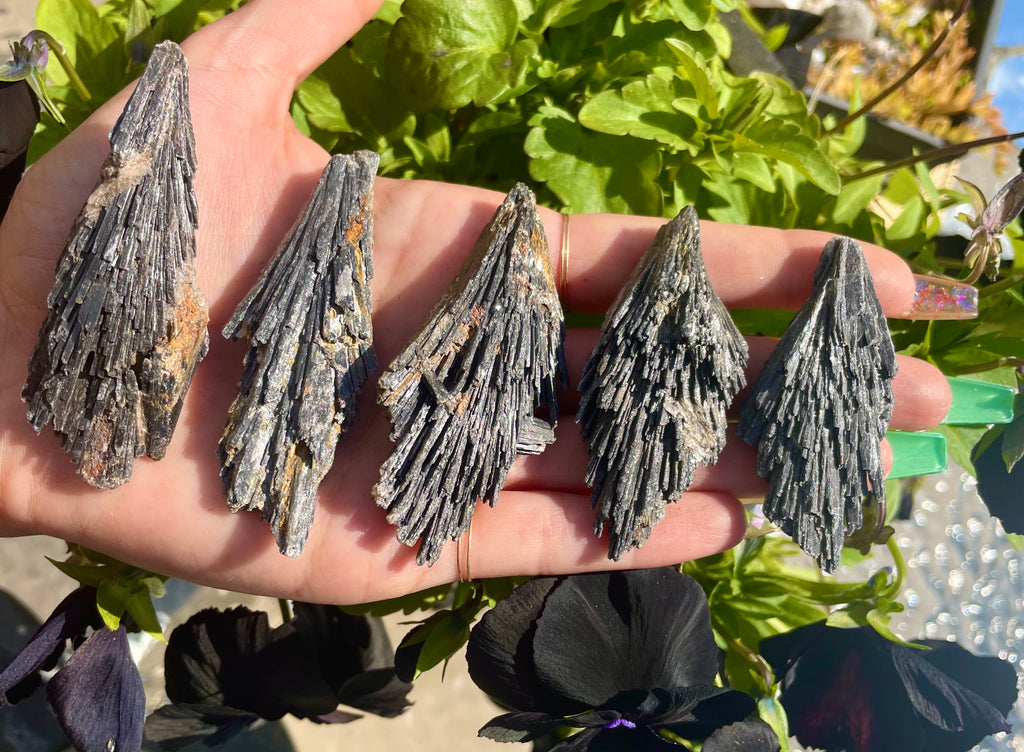 raw black kyanite