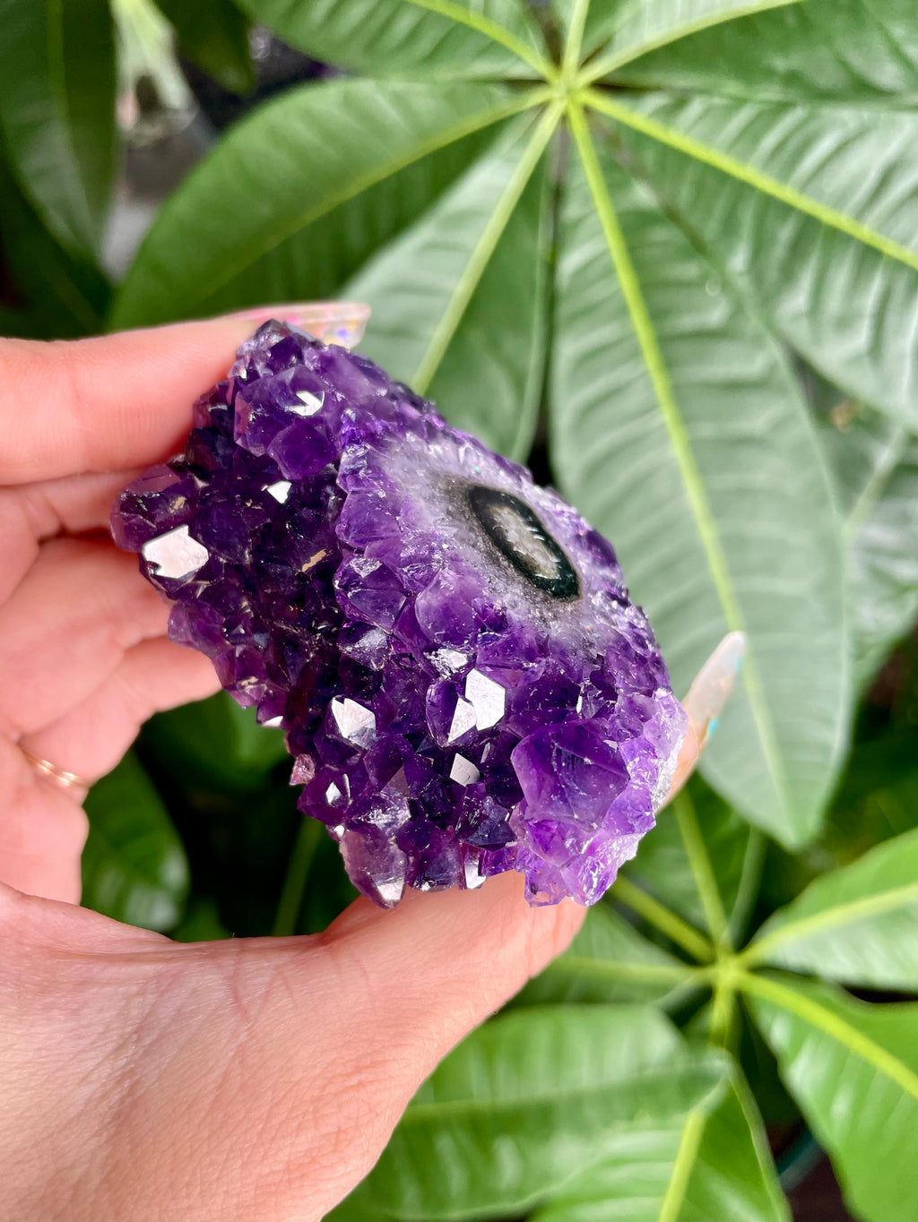 juiciest raw amethyst stalactite