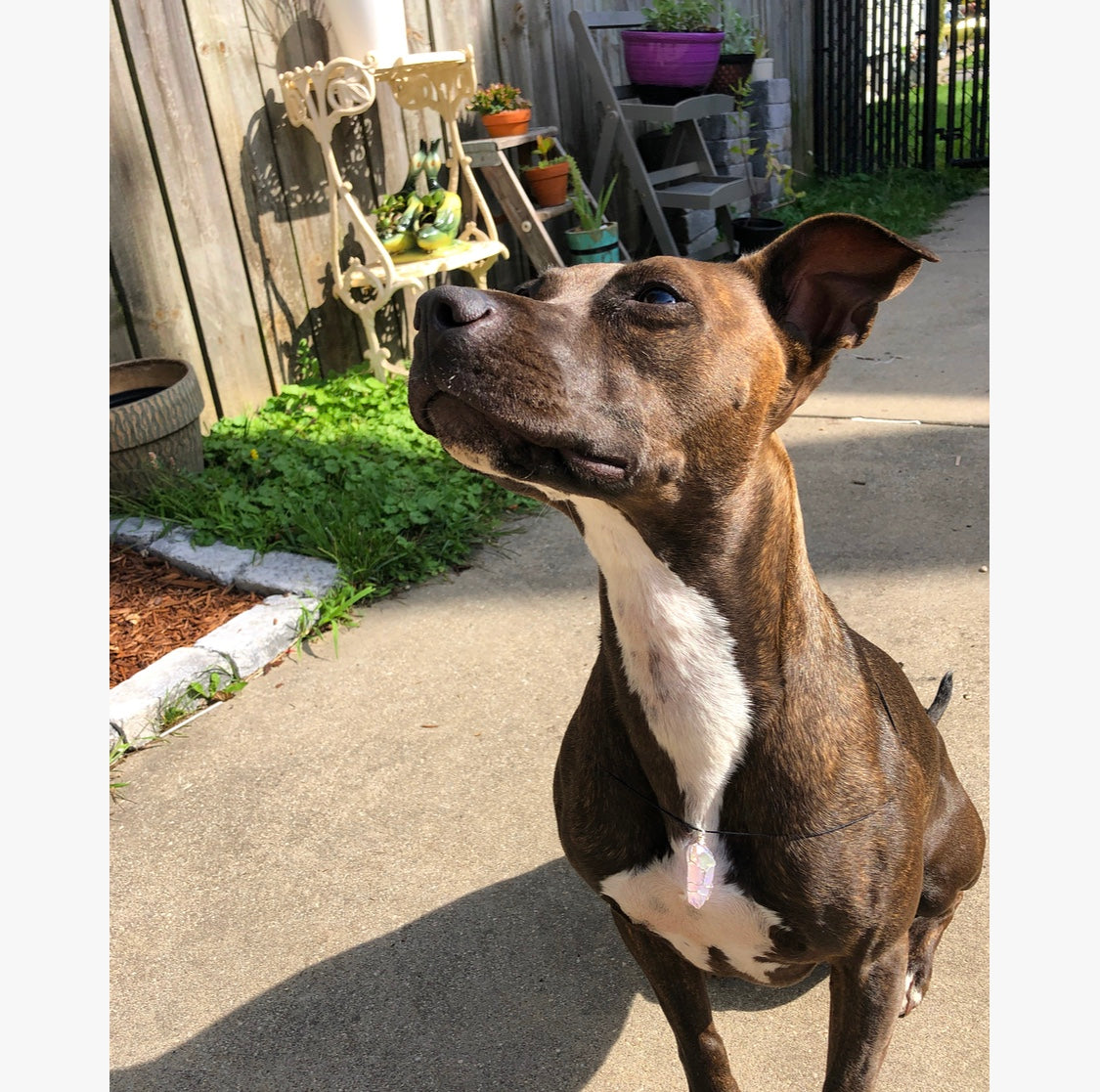 Māra Angel Aura Necklace