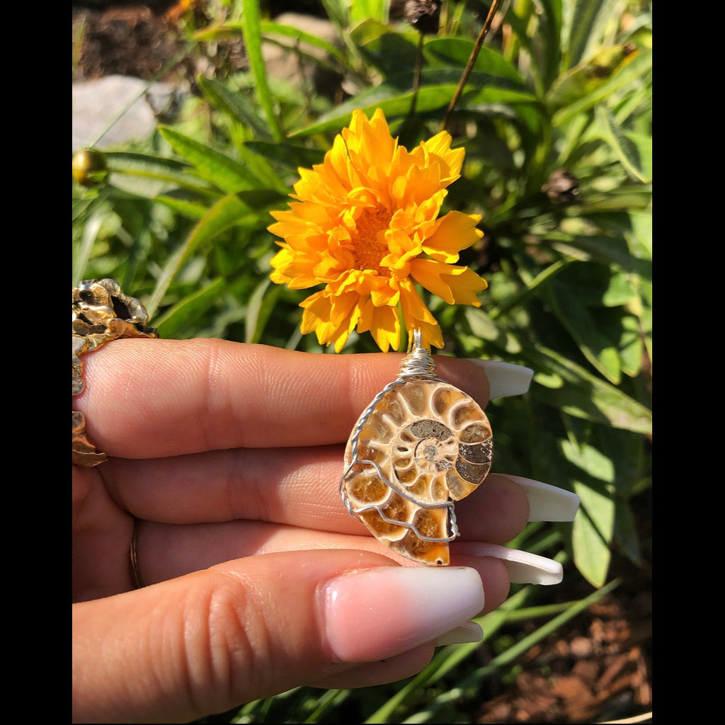 ammonite shell on cruelty-free suede