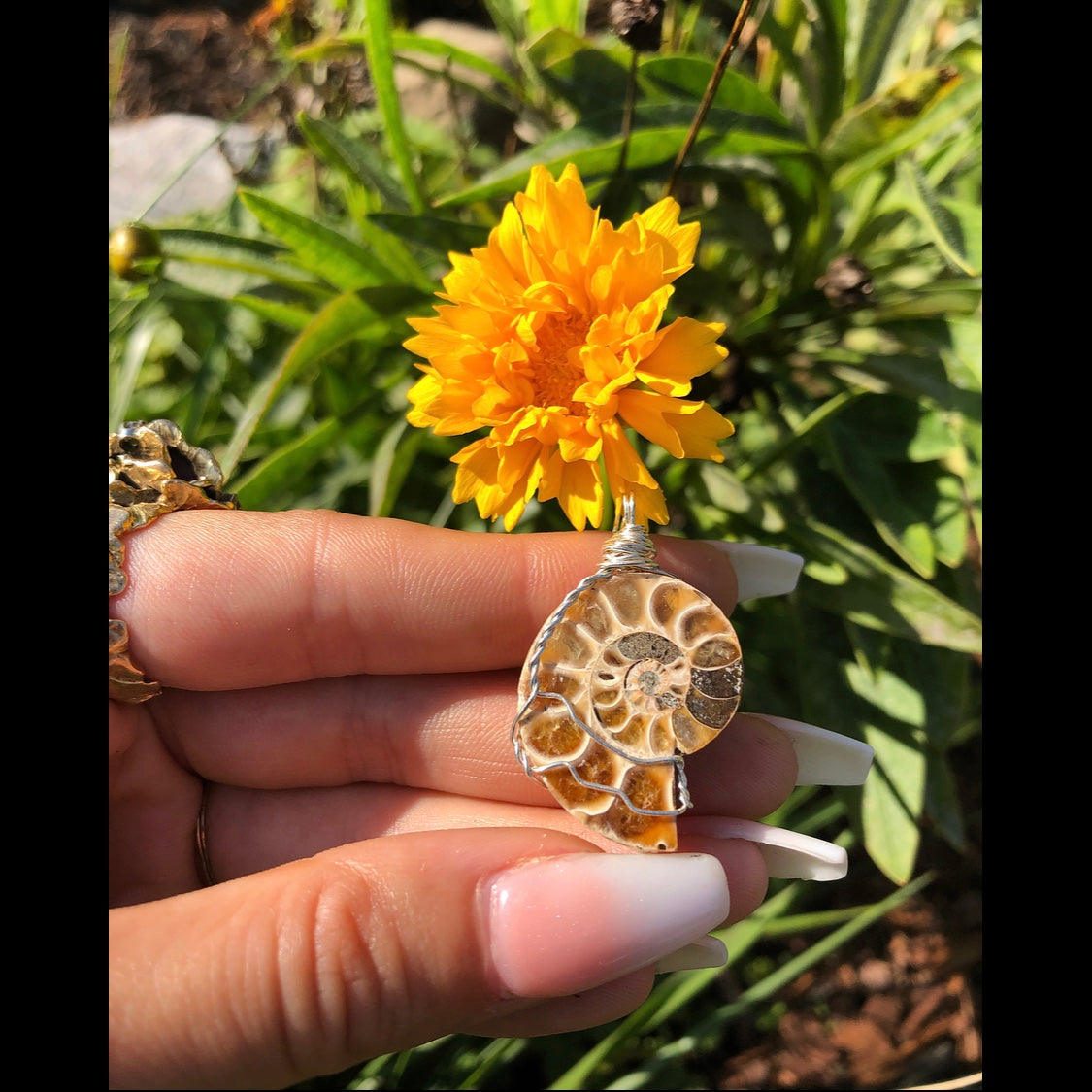 ammonite shell on cruelty-free suede