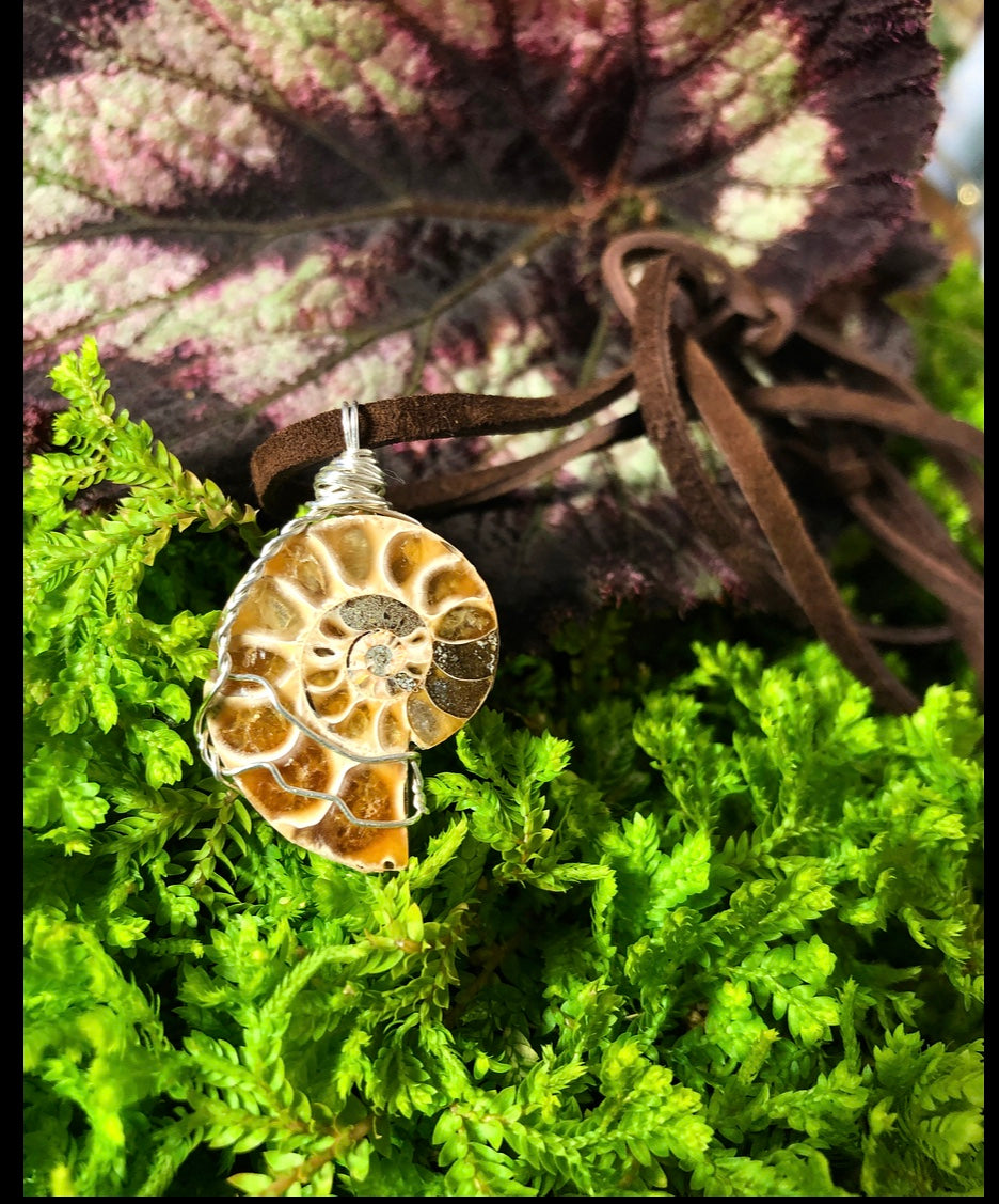 ammonite shell on cruelty-free suede