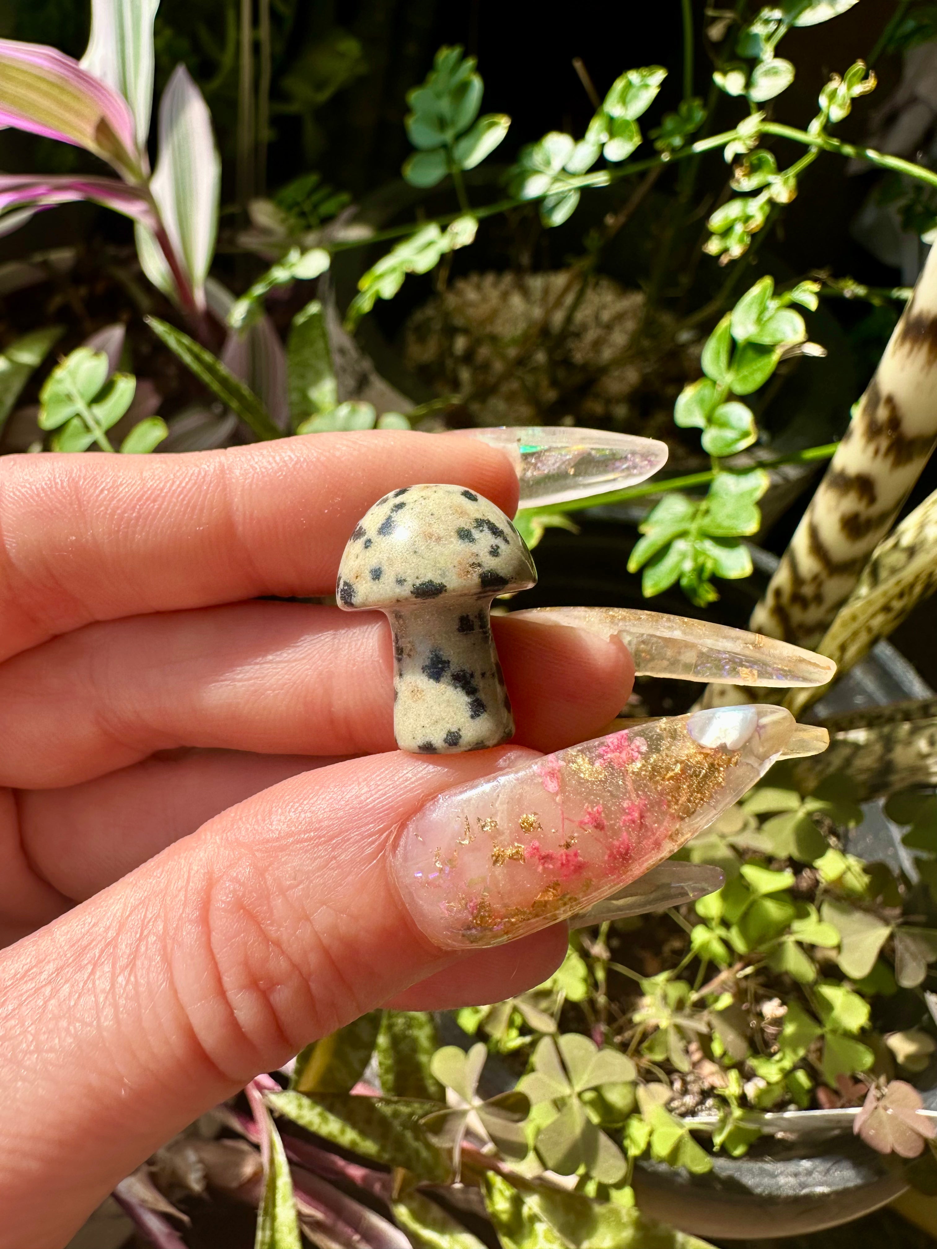 mini crystal mushroom