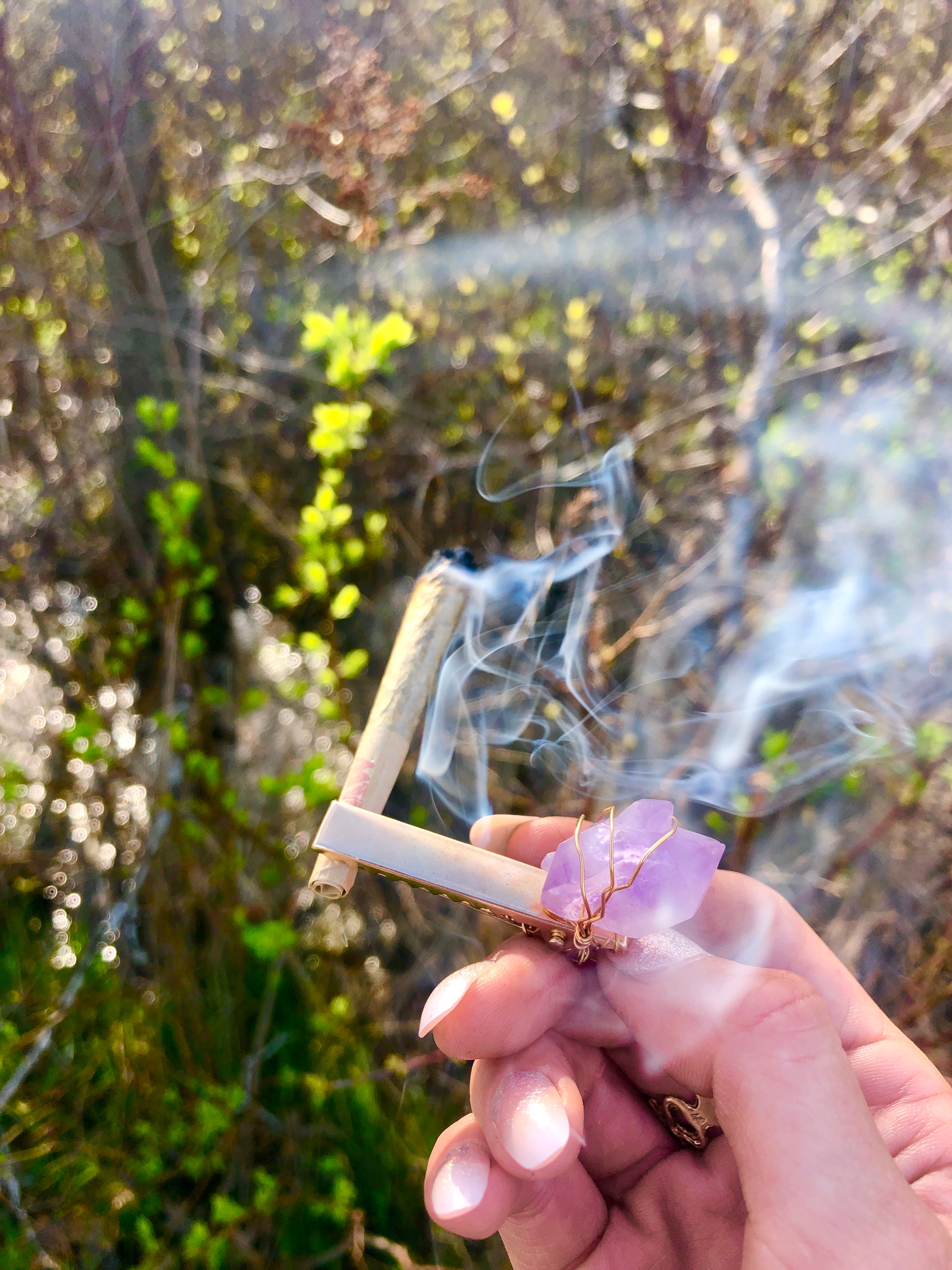 crystal roachie clip | crystal smoke clip