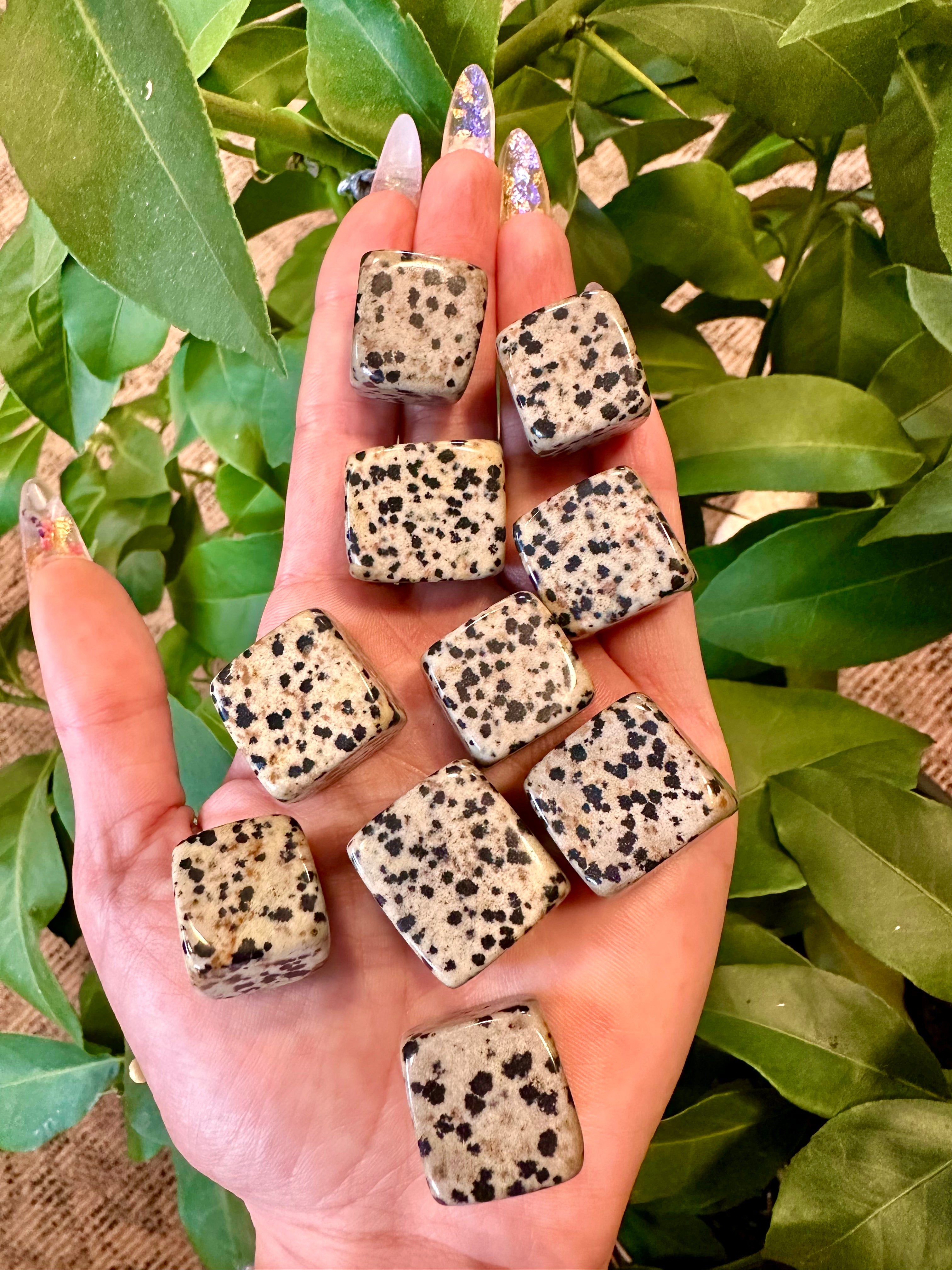 dalmatian jasper crystal cube