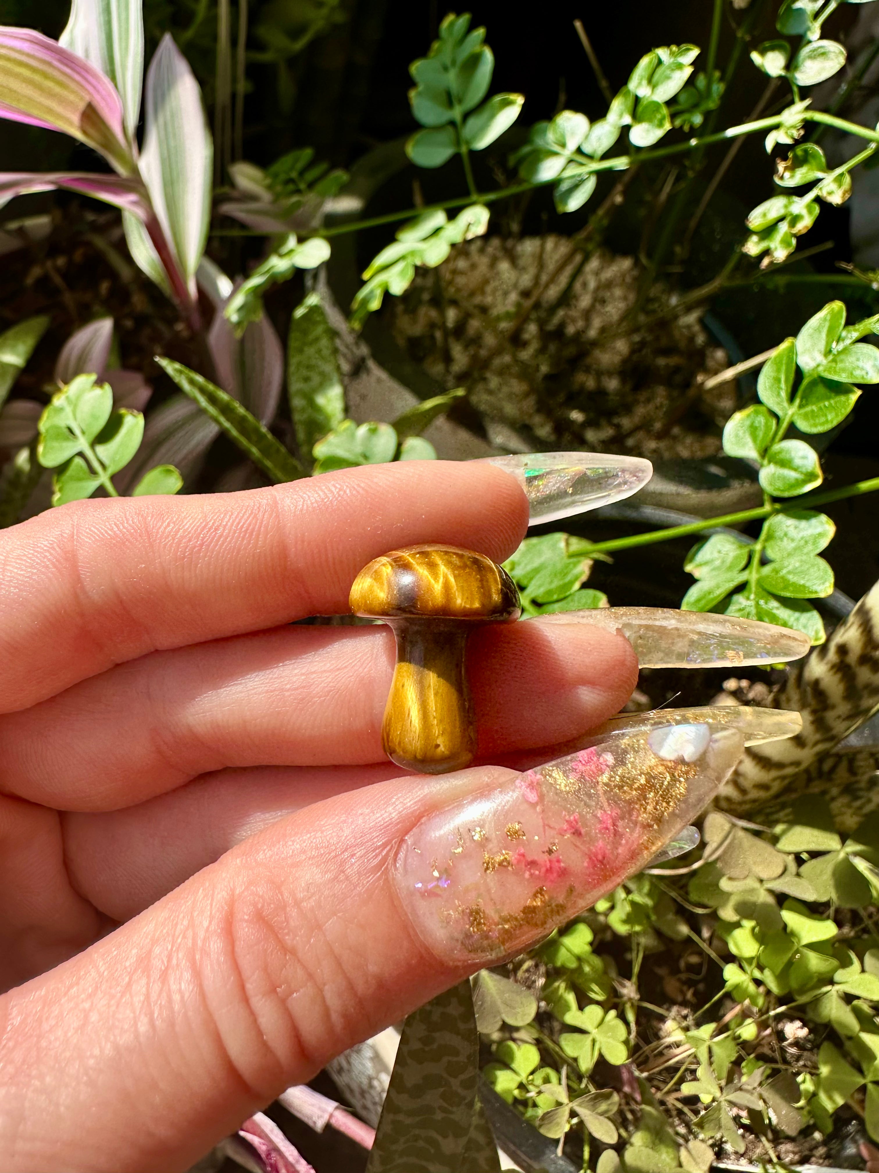 mini crystal mushroom