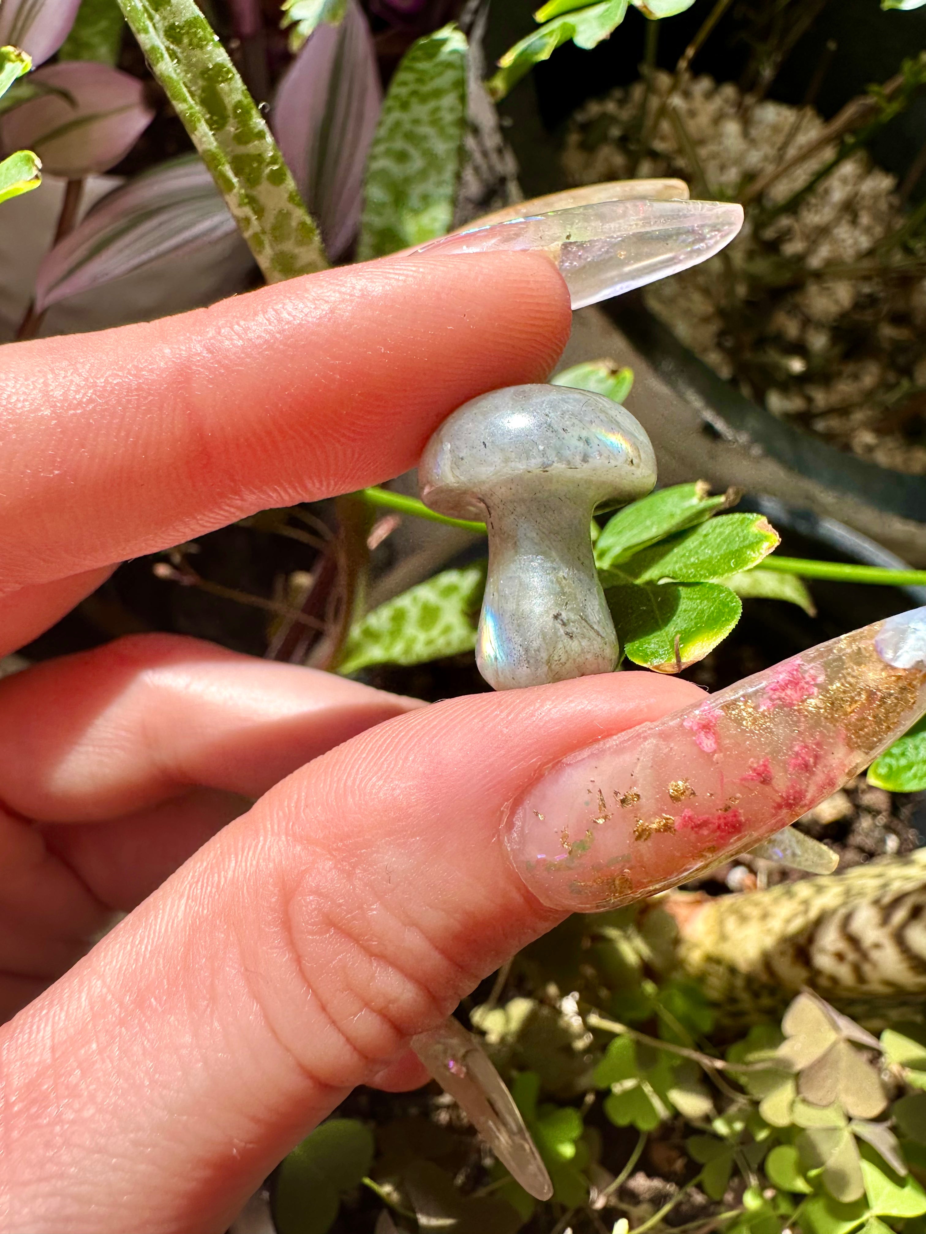 mini crystal mushroom